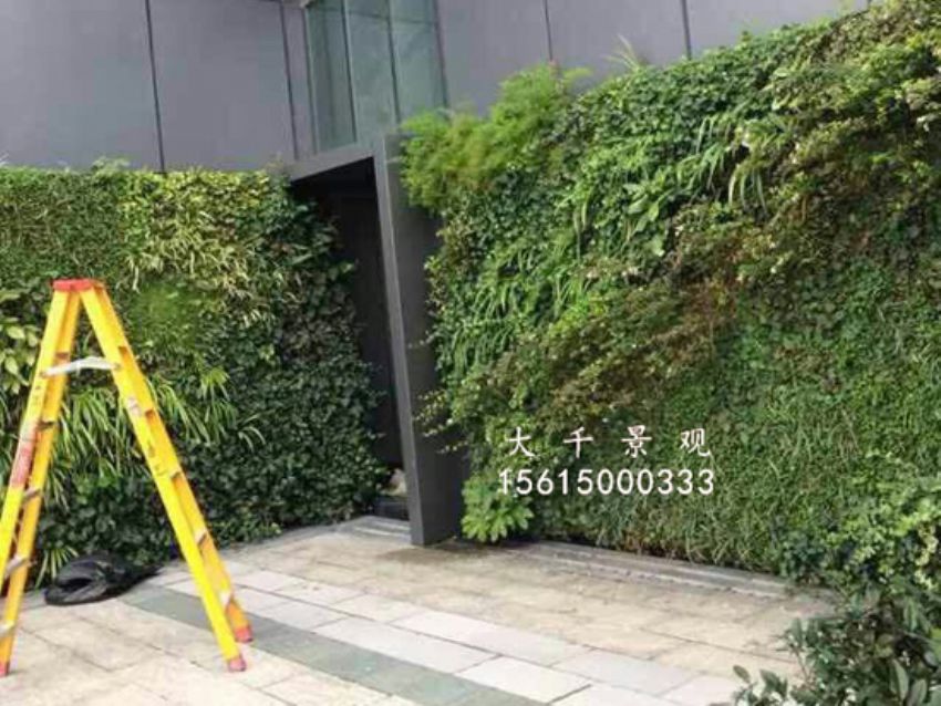 點擊查看詳細信息<br>標題：綠植墻 閱讀次數：1587