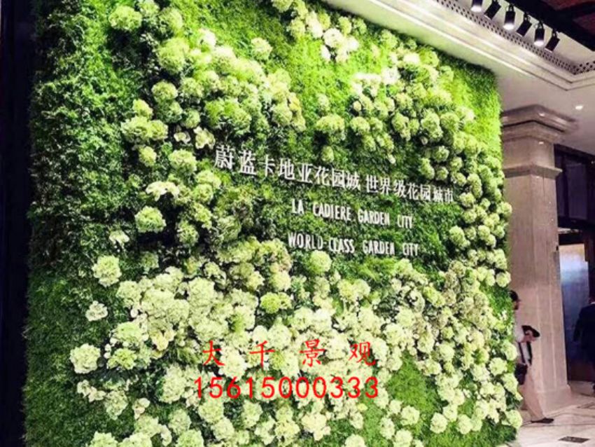 點(diǎn)擊查看詳細(xì)信息<br>標(biāo)題：綠植墻 閱讀次數(shù)：2124