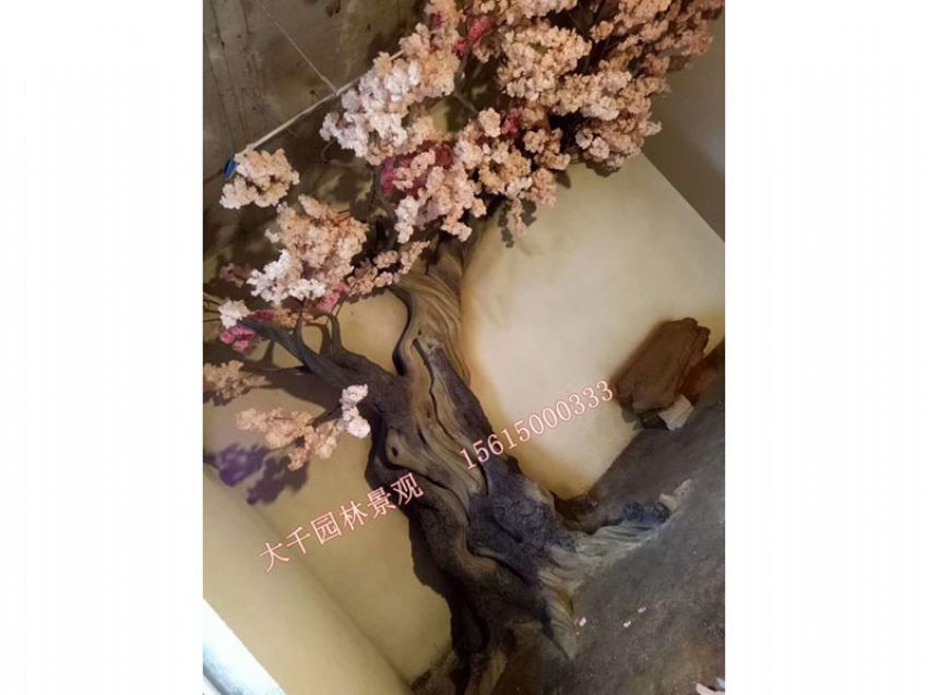 點擊查看詳細信息<br>標題：假樹 閱讀次數：2550